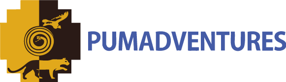 Pumadventures